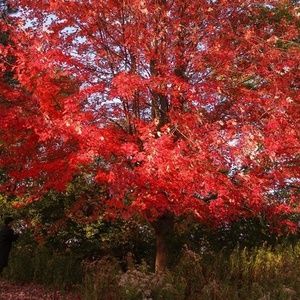 Meet your Posher, Aj